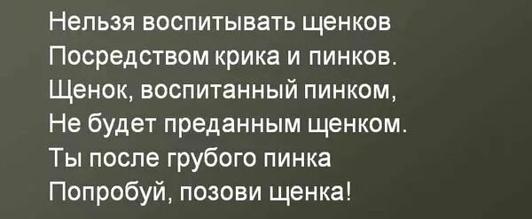 Нельзя воспитывать щенков посредством крика. Нельзя воспитывать щенков посредством крика и пинков. Стих нельзя воспитывать щенков. Щенок пинок стих. Невозможно воспитать