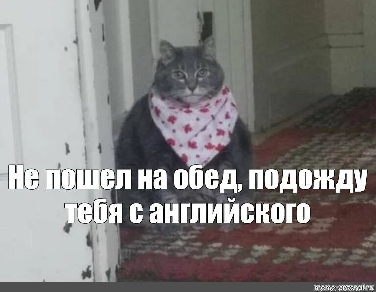 О вы из англии кот. Толстый кот в слюнявчике. кот из англии мем. мемы с котами неси черешню. толстый кот в платочке.