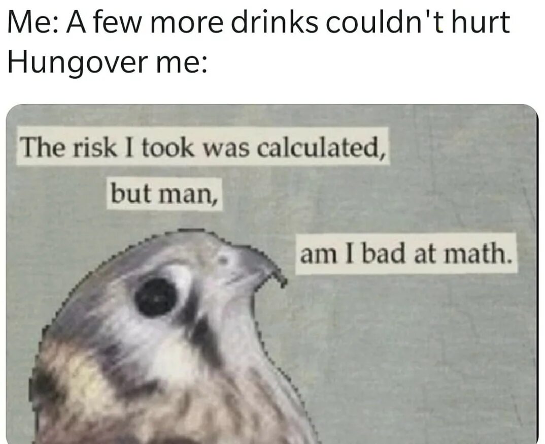 My bad i had. The risk i took was calculated, but man, am i bad at math. bad at math. the risk i took was calculated. риск был просчитан но я плох в математике.
