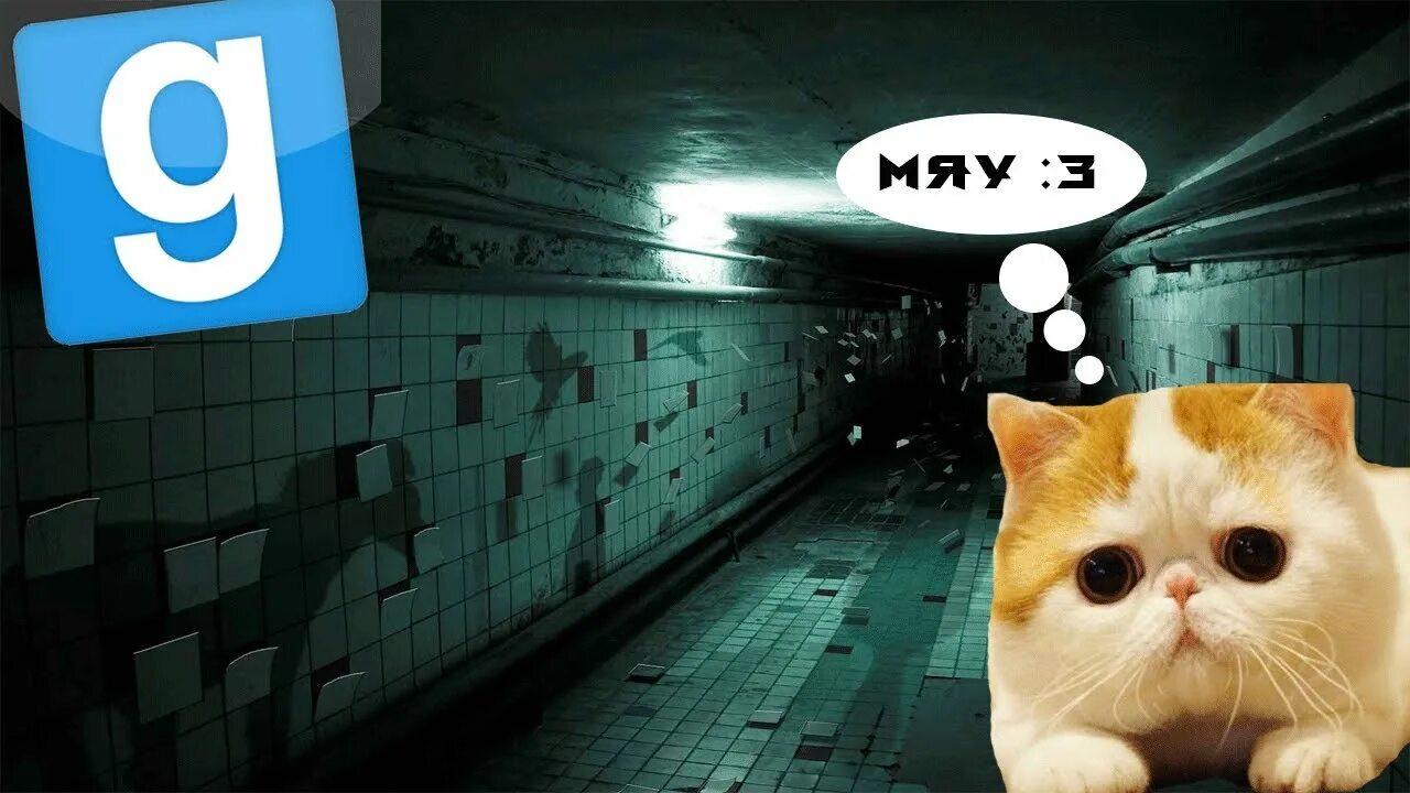 Мяусим тамагочи. Мочекаменная болезнь у котов симптомы. Cat puzzle ответы. Как пройти кота. Как пройти кота.