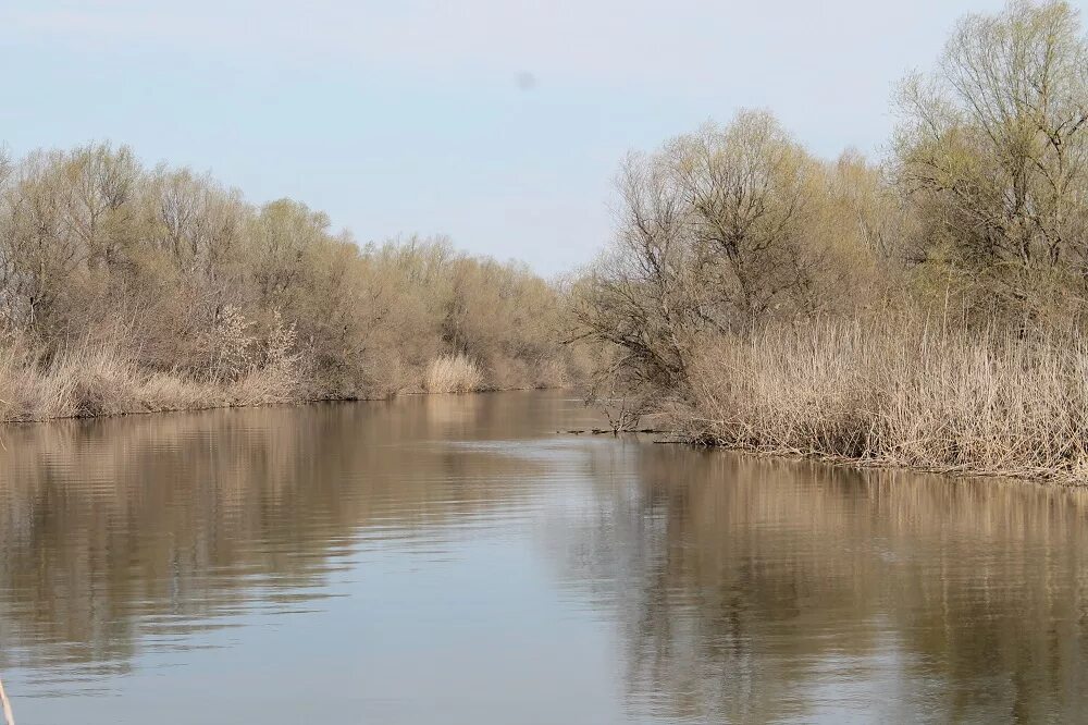 Погода в астрахани на 10 дне. Воды Астраханской области. Астрахань в марте. Черный Яр озеро. Уровень воды черный Яр Астраханской обл.