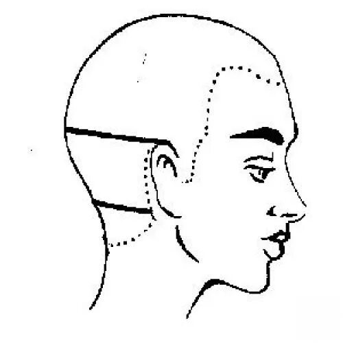 Затылок схема. Зоны и проборы головы для парикмахеров. Фронтально теменная зона головы. Теменная зона схема. Деление на проборы головы для парикмахеров.