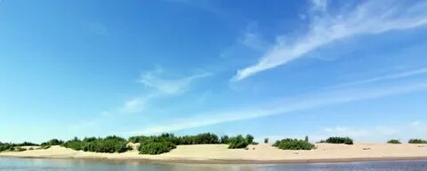 Петрушиха алтайский край