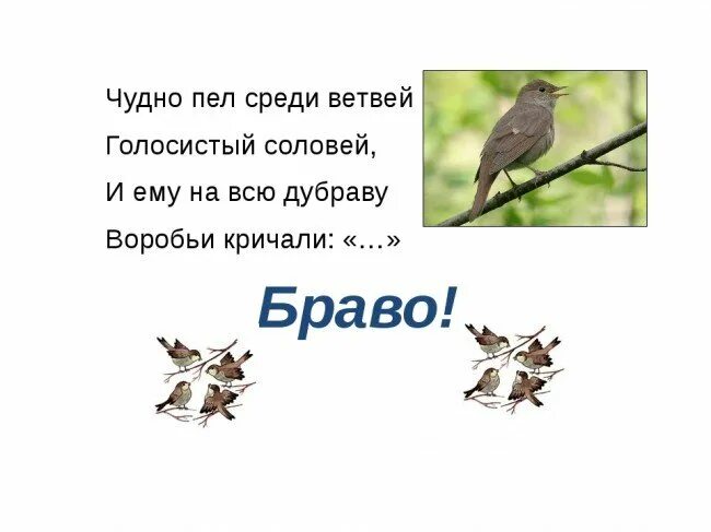 Чудно пел среди ветвей голосистый Соловей и ему. Стихотворение соловьи. Стишки про соловья. Голосистый Соловей. Загадка про соловья