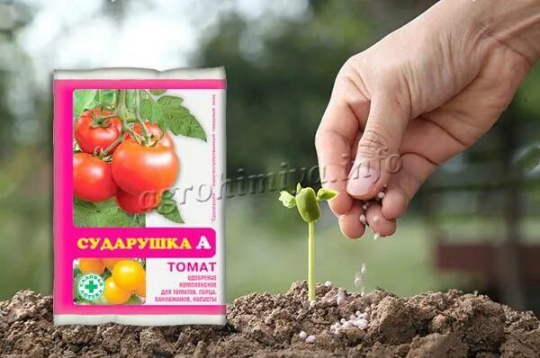 Сударушка удобрение для томатов инструкция по применению. Сударушка удобрение универсальное. сударушка для томатов. препарат сударушка для томатов. сударушка а универсальное минеральное удобрение (60г).