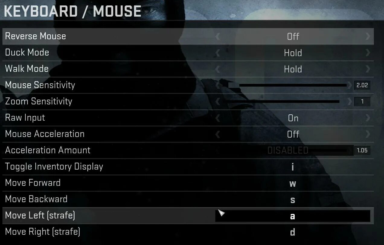 Input cs