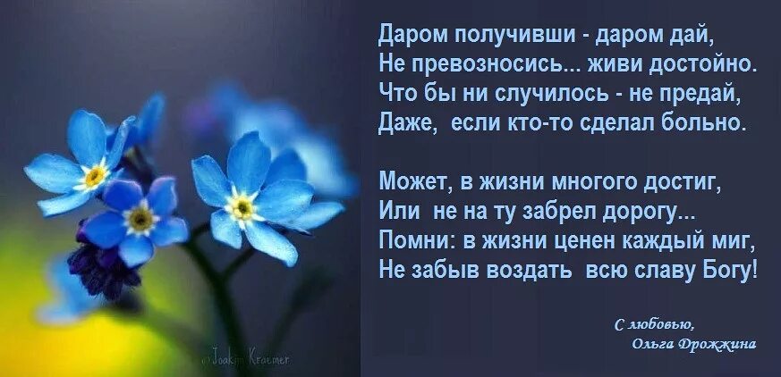 Даром приняли даром давайте как понять слова. Что значит. Стихи дрожжиной в картинках. Больных исцеляйте прокаженных очищайте. Что означает слово даром.