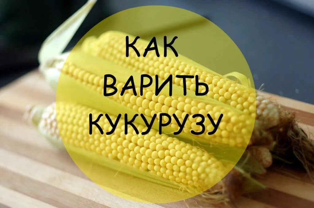 Сколько варить кукурузу в скороварке по времени. Вареная кукуруза. как варить кукурузу. полезные свойства кукурузы. кукуруза в воде.