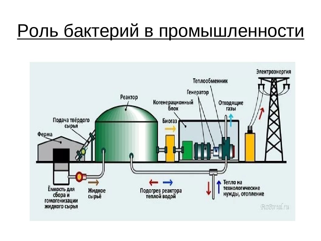 Получение энергии бактериями. Биогаз схема переработки. Биогазовые электростанции схема. Схема производства биогаза. Биогаз бактерии.