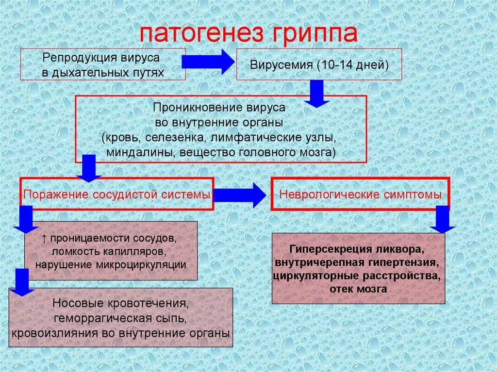 Развитие орви. Гипертоксическая форма гриппа патогенез. Патогенез вируса гриппа. Грипп этиология эпидемиология. Механизм развития гриппа.