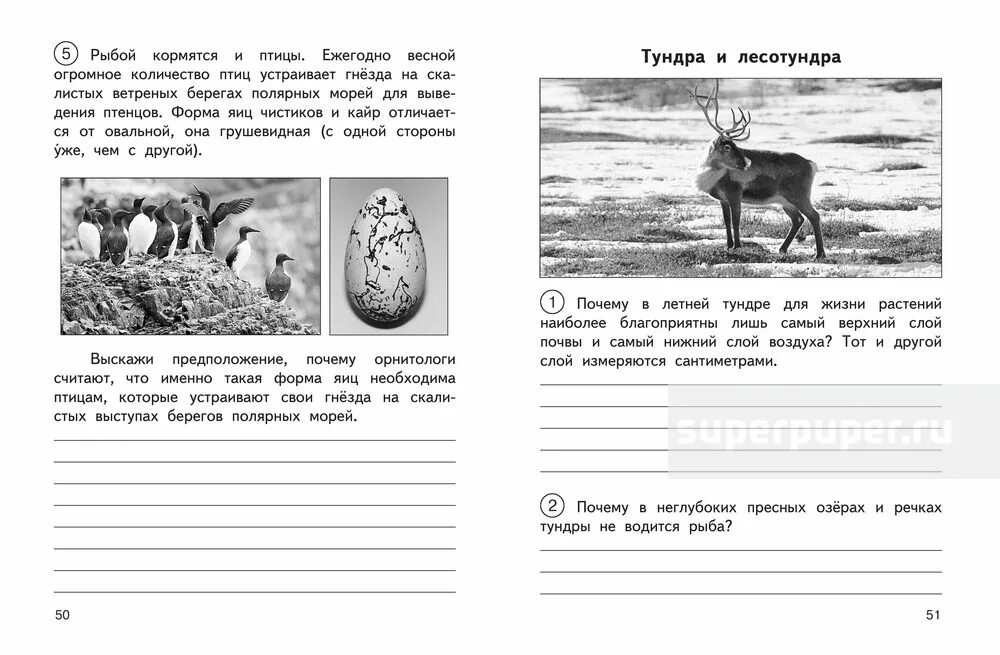 Тундра проверочная работа 4 класс окружающий мир. Олимпиада по окружающему миру 4 класс. задания по окружающему миру 4 класс. задачи по окружающему миру 4 класс. окружающий мир 4 класс задания.