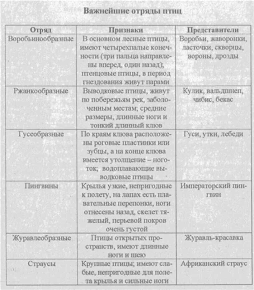 Таблица по биологии 8 класс птицы