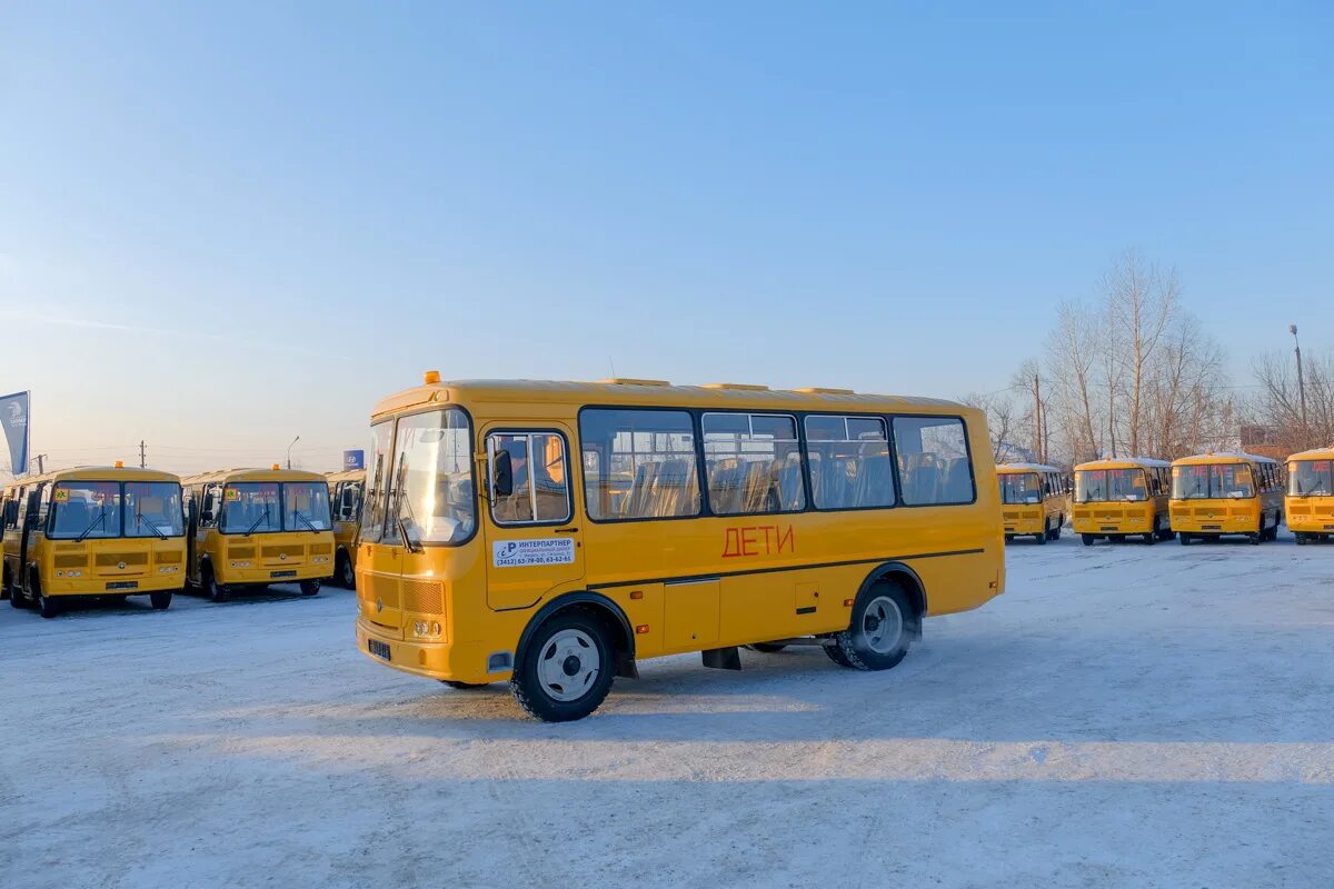 Школьный автобус ПАЗ-3206-70. ПАЗ 3205 школьный автобус. Автобус ПАЗ школьный 2020. Новый школьный автобус ПАЗ. Видео автобусов пазов