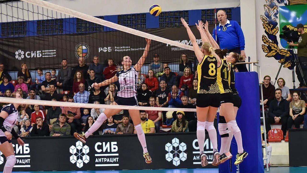 Видео обзор 1 лиги. Приморочка волейбол. ВК Приморочка. DGREEN Volleyball Владивосток. История волейбольного клуба Приморочка.