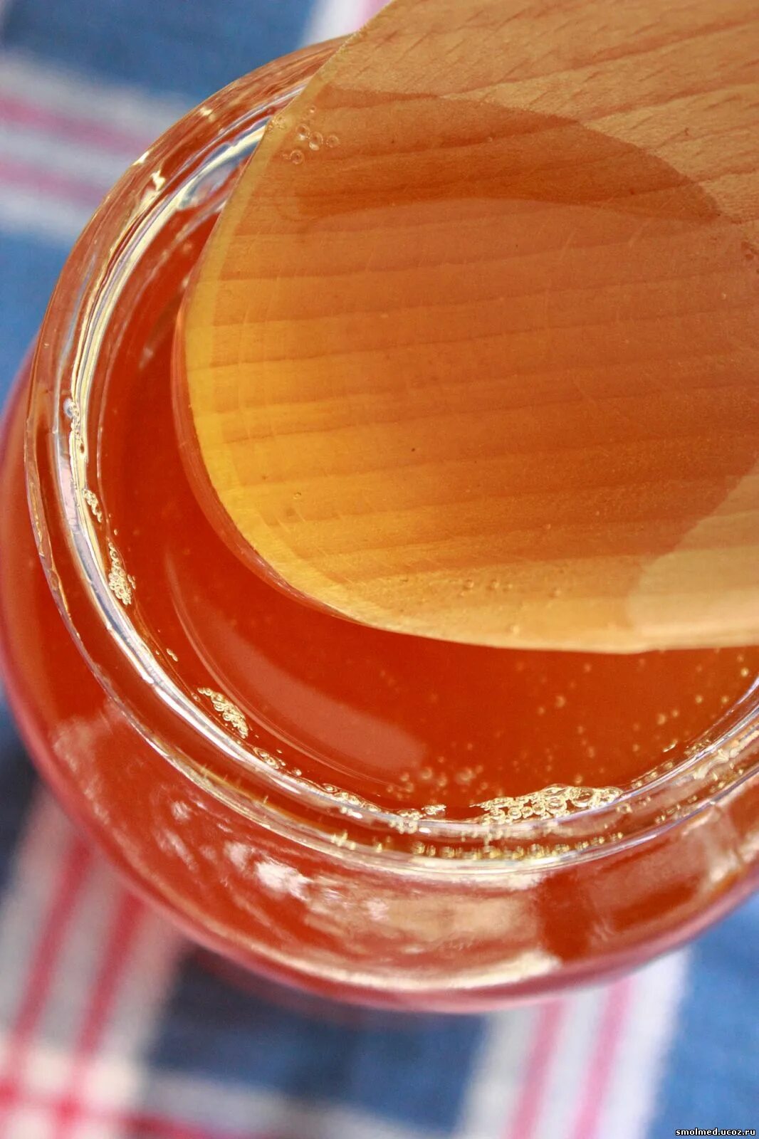 Мед после химии. Синяковый мёд. Мед синяк. Мед из синяка. Мед из синяка обыкновенного.