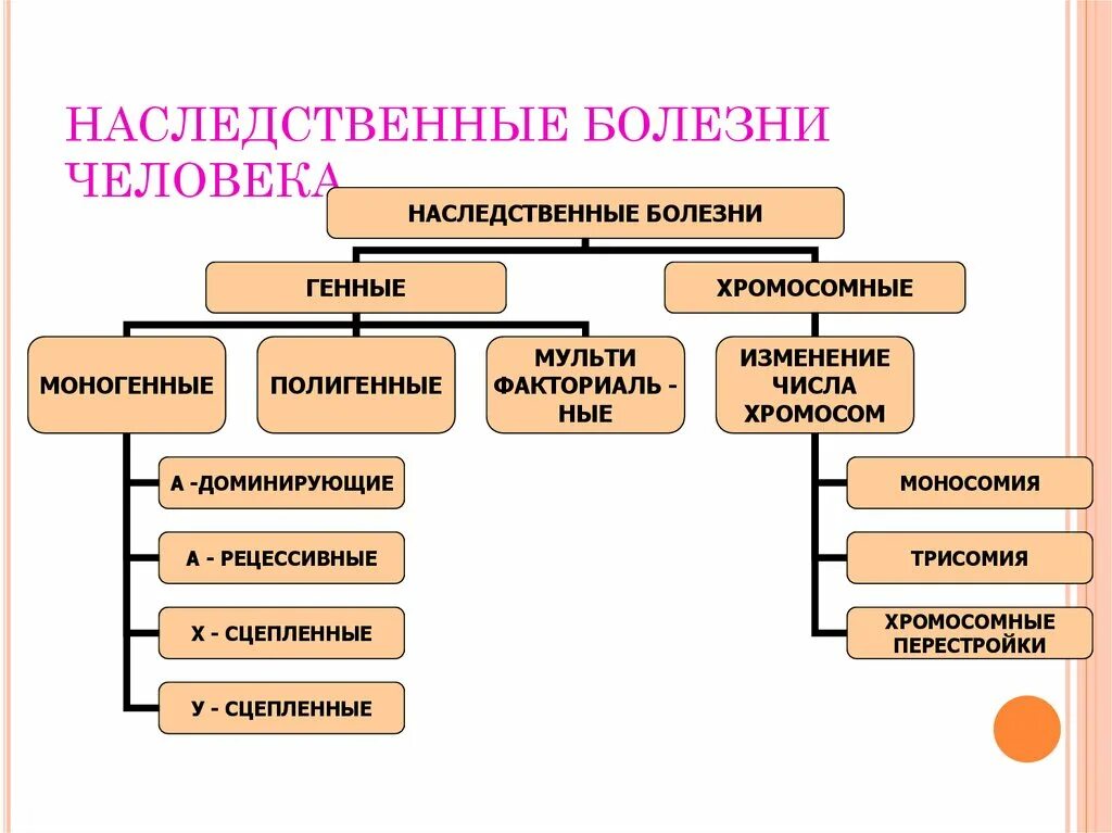 Классификация наследственных заболеваний геномные. Наследственные заболевания человека типы наследования. Классификация наследственных болезней человека схема. Классификация наследственных болезней таблица. Основные группы болезней