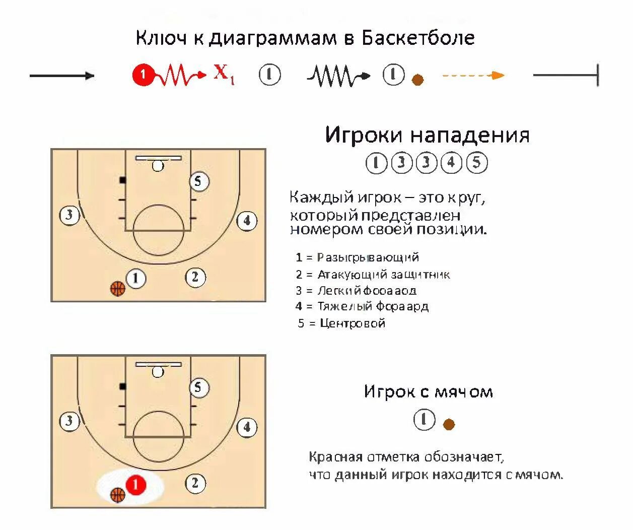 Позиция б. Расстановка игроков в баскетболе схема. Баскетбол расстановка игроков на площадке. Позиции амплуа игроков в баскетболе. Расположение игроков в баскетболе.