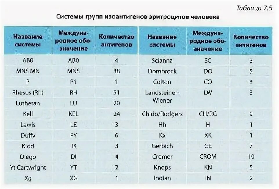 Фенотип крови c c e e. Системы изоантигенов эритроцитов человека. Системы антигенов эритроцитов таблица. Фенотипирование эритроцитов по антигенам. Фенотип антигенов системы резус.