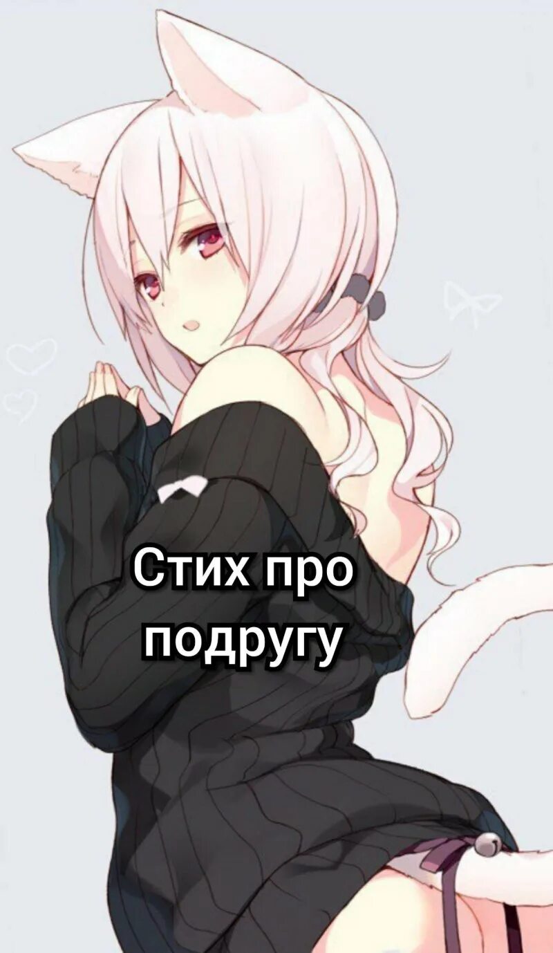 Кошко тянки