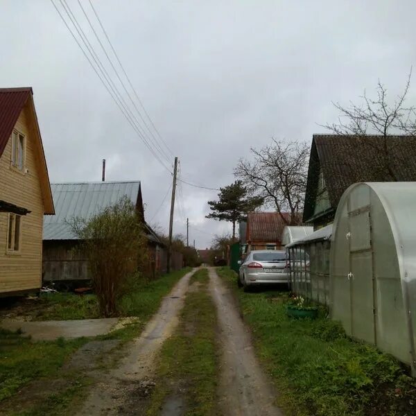 Село дружба алтайский край. Дачи садоводство дружба. Садоводство дружба барнаул. Снт дружба киевское шоссе 41 км. Дачный участок.