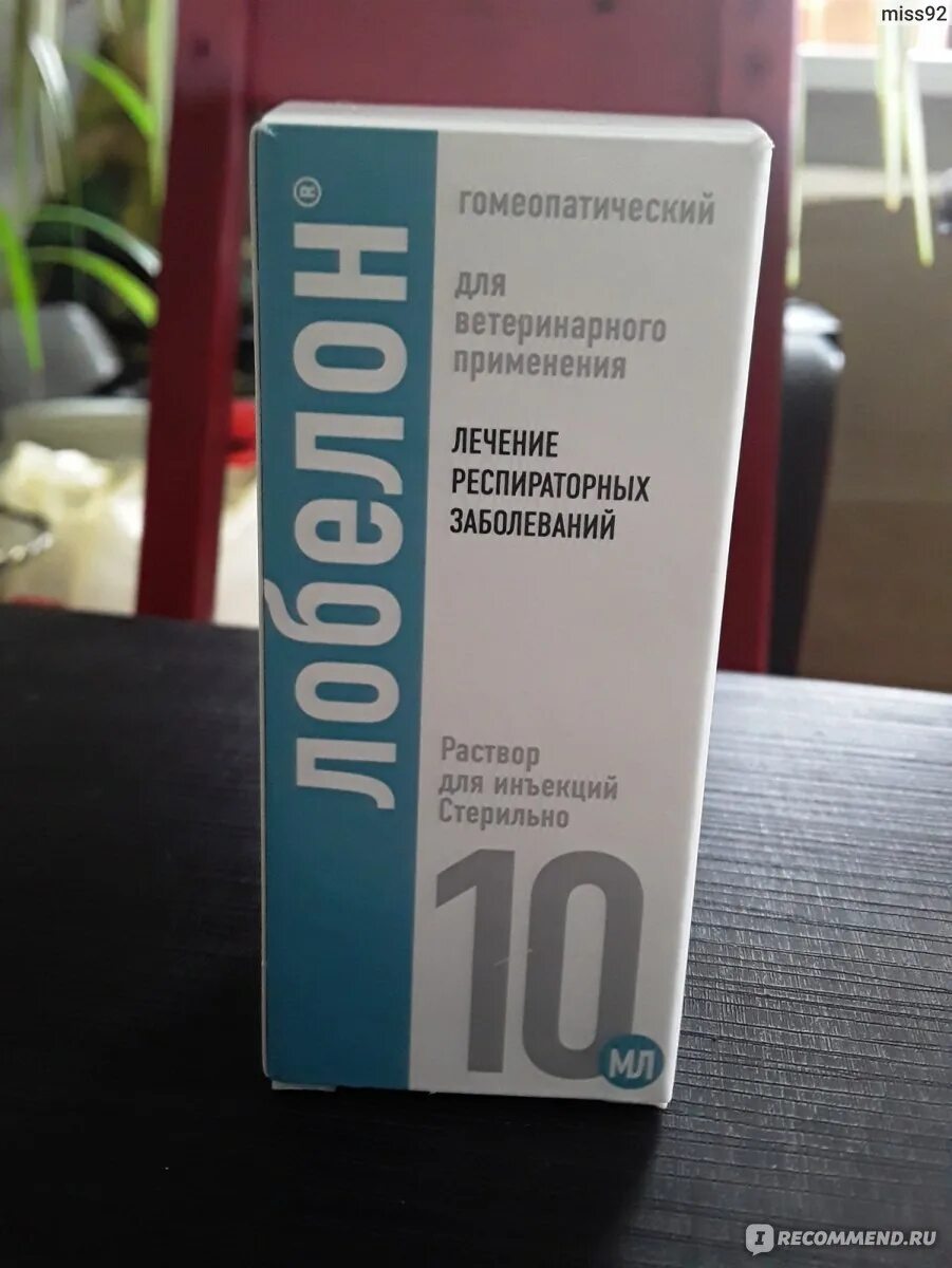 Лобелон для собак. Лобелон есть пероральный?. лобелон для приема внутрь. хелвет лобелон (инъ. 10 мл).