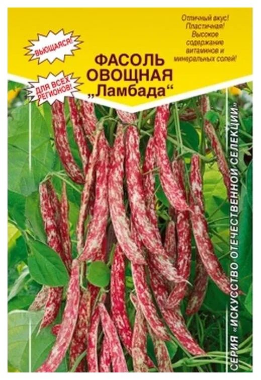 Ламбада описание сорта. Фасоль овощная ламбада а. фасоль вьющаяся ламбада. фасоль вьющаяся семена.