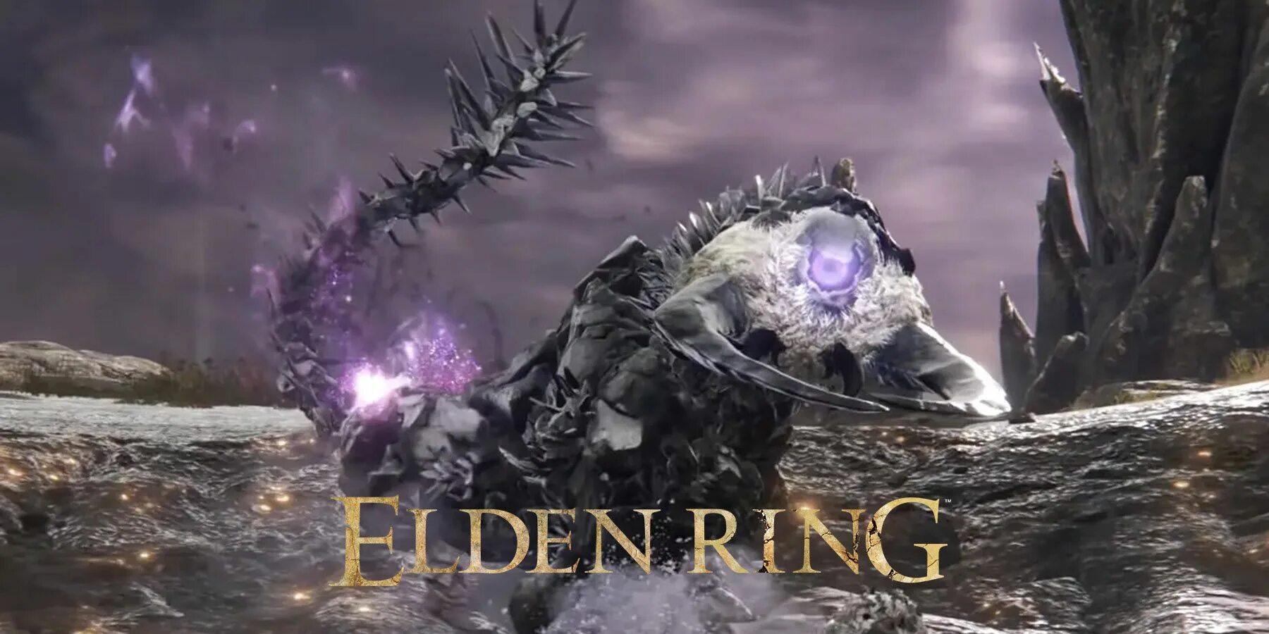 Элден ринг зверь падающей звезды. Elden Ring fallingstar Beast. Falling Star Beast elden Ring. Взрослый зверь падающей звезды elden Ring. Взрослый зверь падающей