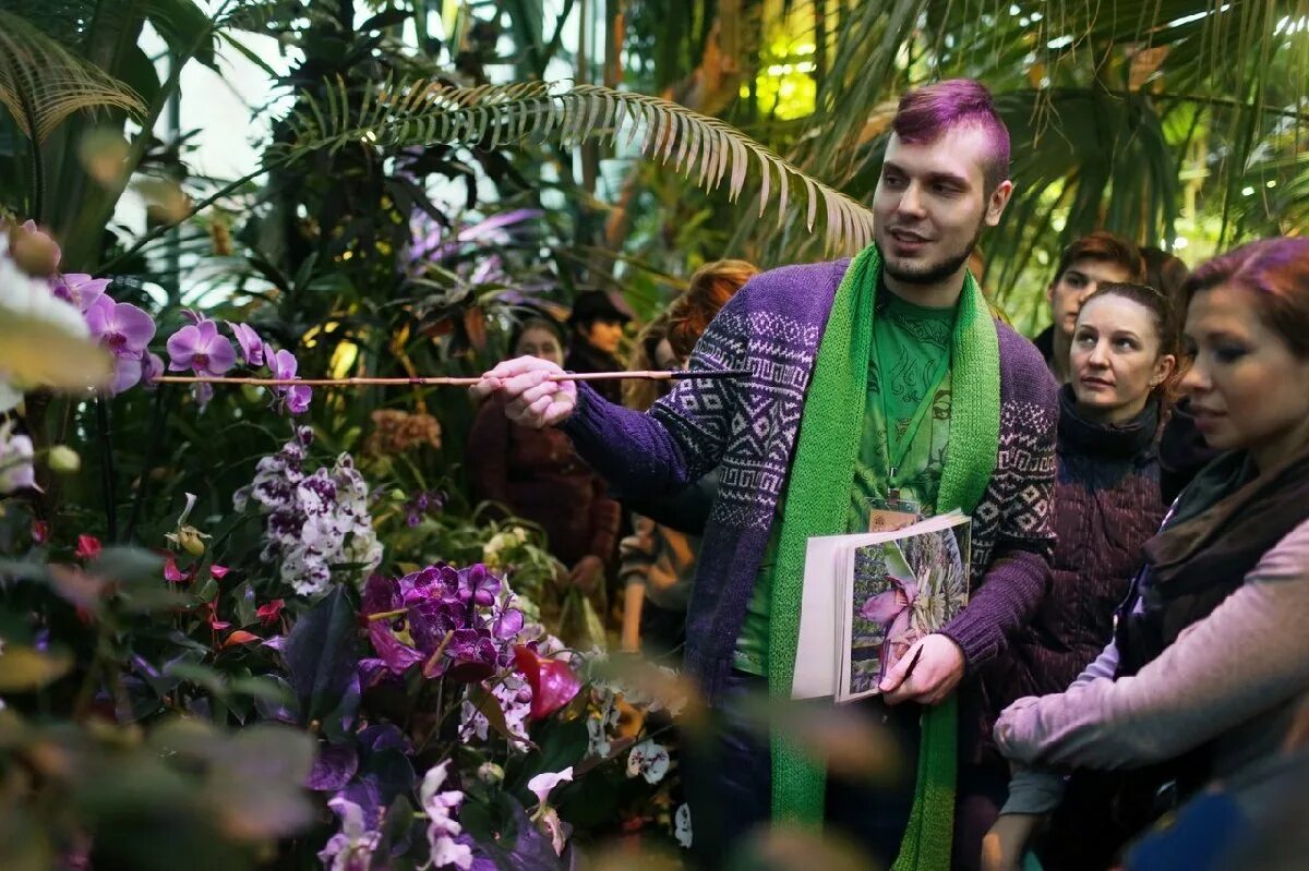 Фестиваль Тропическая зима в Аптекарском огороде. Ботанический сад МГУ оранжерея орхидей. Ботанический сад МГУ Тропическая зима. Фестиваль орхидей в Аптекарском огороде.