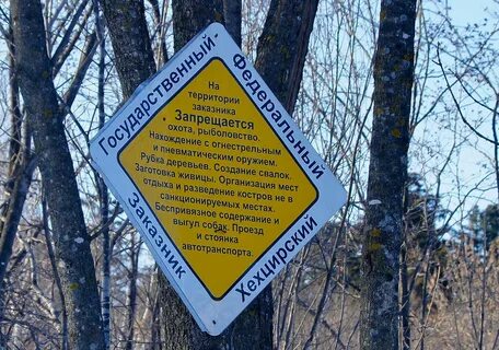На территории заповедника можно