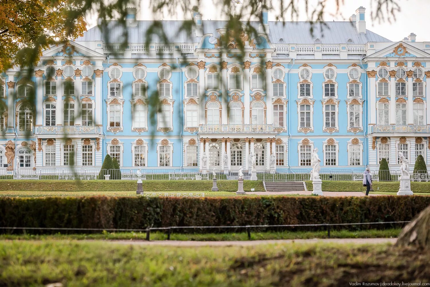 Электрички царское село санкт петербург сегодня. Царское село Киров. Воспоминания в Царском селе Пушкин. Царское село центр образования. Царское село библиотека.