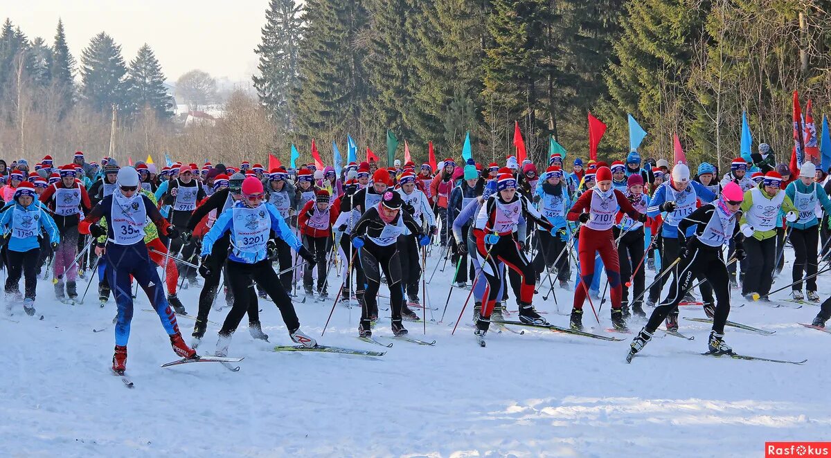 спортивно-массовое соревнование лыжня. лыжня без людей. лыжные гонки новосибирск. всероссийская массовая лыжная гонка лыжня россии. лыжня россии 2022 кыштым.