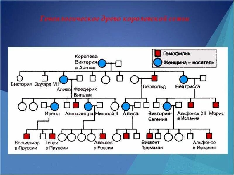 Родословная Романовых генетика схема. Генеалогическое Древо королевы Виктории. Генеалогическое Древо Романовых генетика. Генеалогическое Древо царской семьи Николая 2.