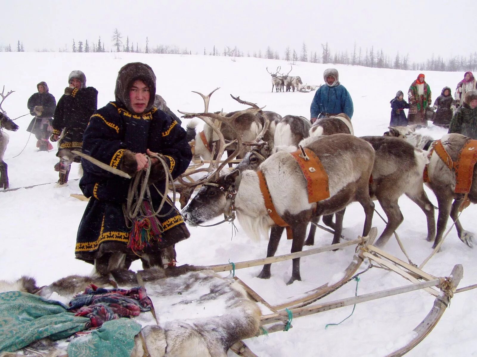 Народы дальнего севера россии. Чукчи и Коряки. Чукчи Коряки эвенки. Чукчи народ России оленеводство. Ненцы Ханты манси чукчи.