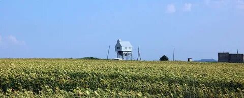 Село новосадовое донецкая область