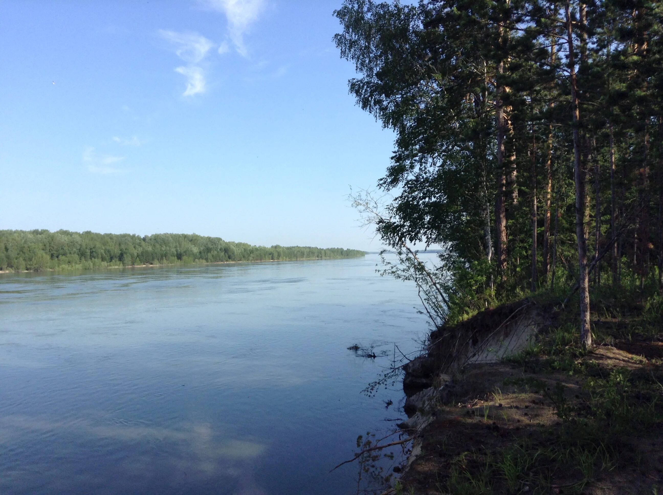 Сибирь обь кругликово. Берег оби реки. Кругликово обь. Кругликово обь. Кругликово обь.
