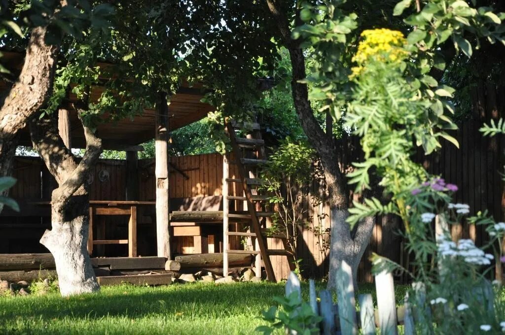 Сад 4 кострома. Дом в яблоневом саду. эко отель с яблоневым садом бывший пионер. apple garden.