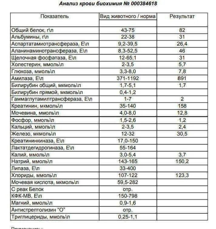 Биохимия крови мочи. Анализ крови биохимия показатели нормы. Биохимический анализ крови расшифровка сахар крови. Биохимия кошачьего анализа крови норма. Нормы результатов анализов крови на биохимию.