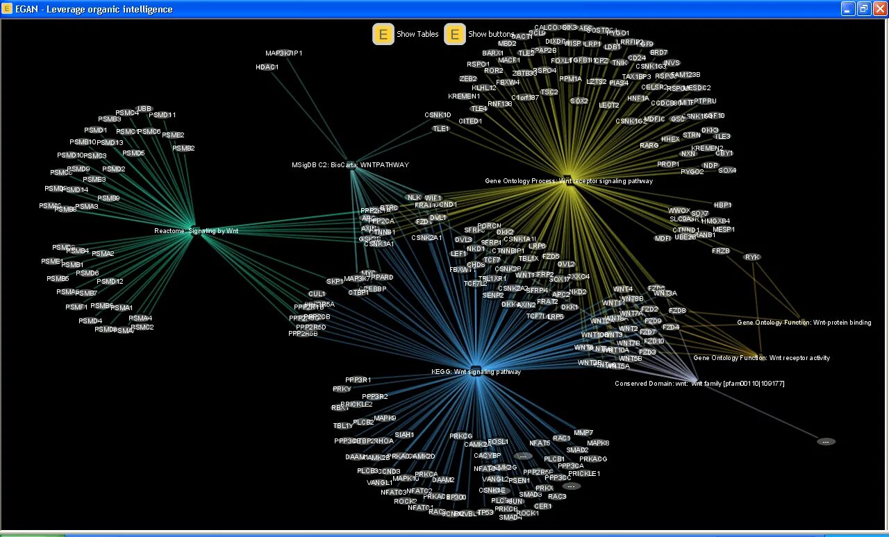 Визуализация образовательного процесса. Визуализация основы. Визуализация баз данных. Визуализация основы. Визуализация в психологии.