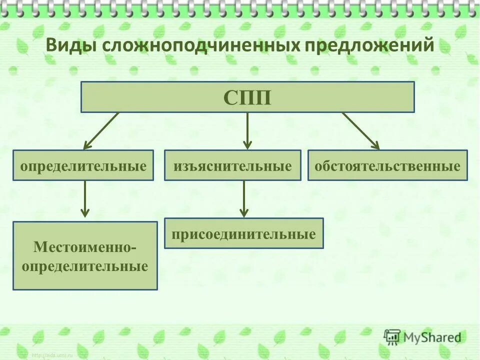 Виды сложноподчиненных предложений. Виды сложноподчинённых предложени. СПП виды сложноподчиненных предложений. Виды сложносочинмтельный предложений. Распределите сложноподчиненные предложения по группам