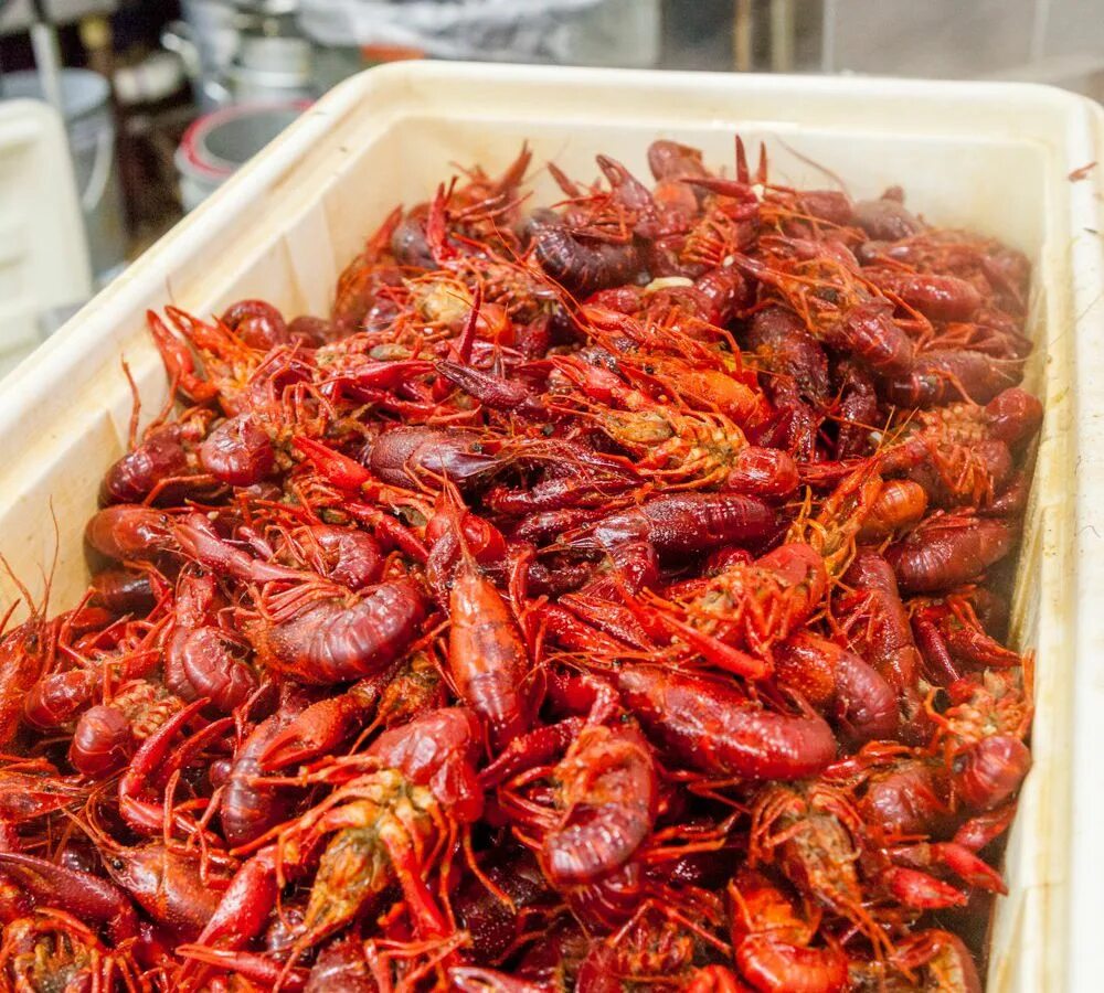 Как едят раков в домашних. Boiled Crawfish. Crawfish Hingel. Crawfish near me.