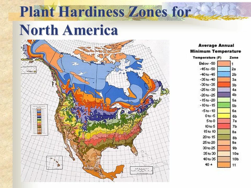 USDA Zones Plant Hardiness. Plant Hardiness Zone Map. Hardiness Zone Mexico. Plant Hardiness Zone Map of Canada.