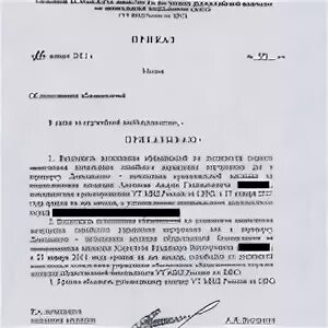 Распоряжение овд. Пример распоряжения руководителя мвд. приказ о назначении мвд. распоряжение начальника овд. приказ о назначении на должность мвд.