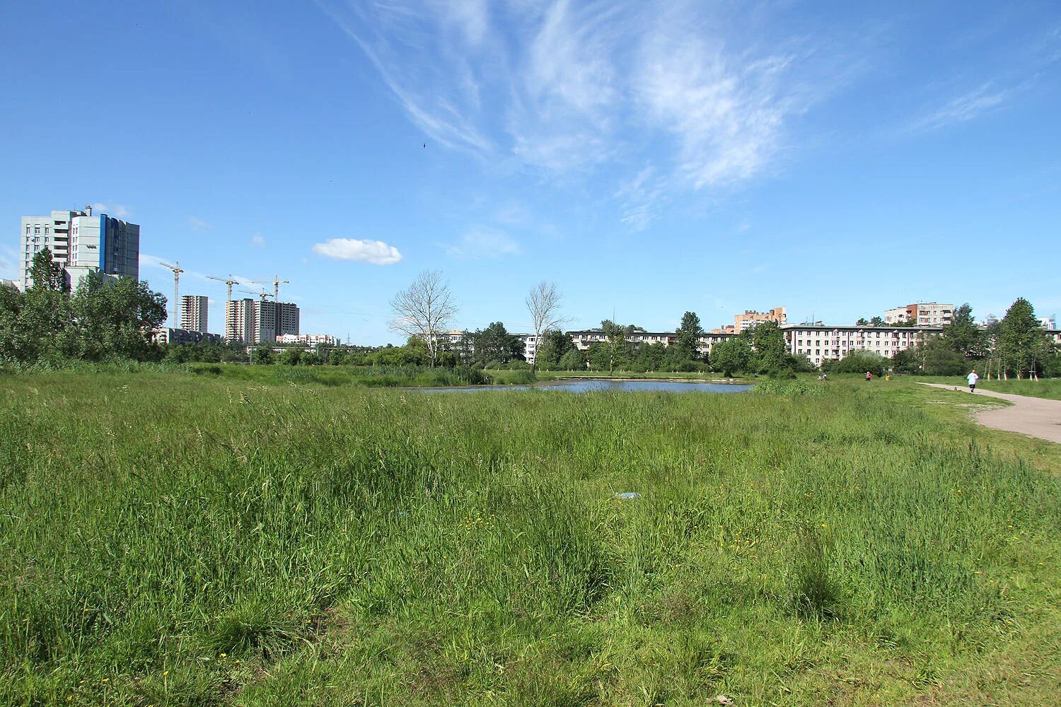 деревня купчино