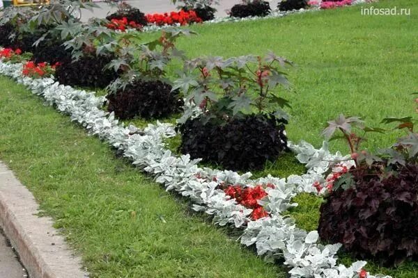 Советы по выбору бетонного бордюра для ландшафтного дизайна