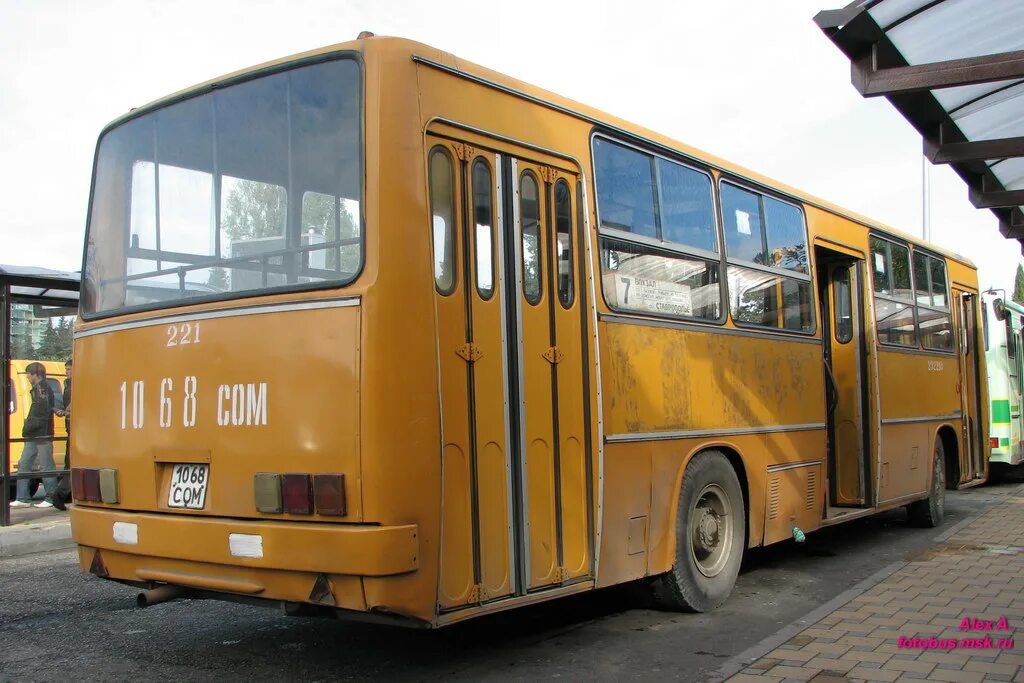 Автобус икарус 260. Икарус 260.50. икарус 260.06. икарус 260.54.
