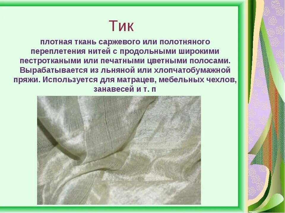 Тик описание