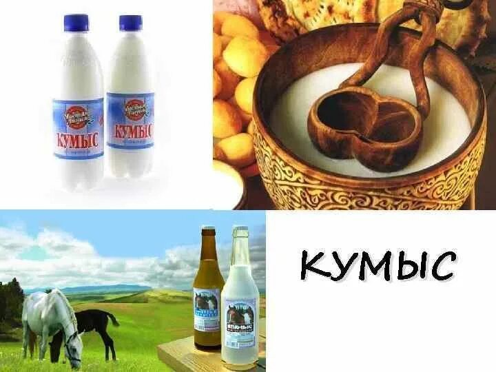 Польза кумыса. Ысыах кумыс. Якутская лошадь ысыах. Чем полезен кумыс для организма. Целебные свойства кумыса.