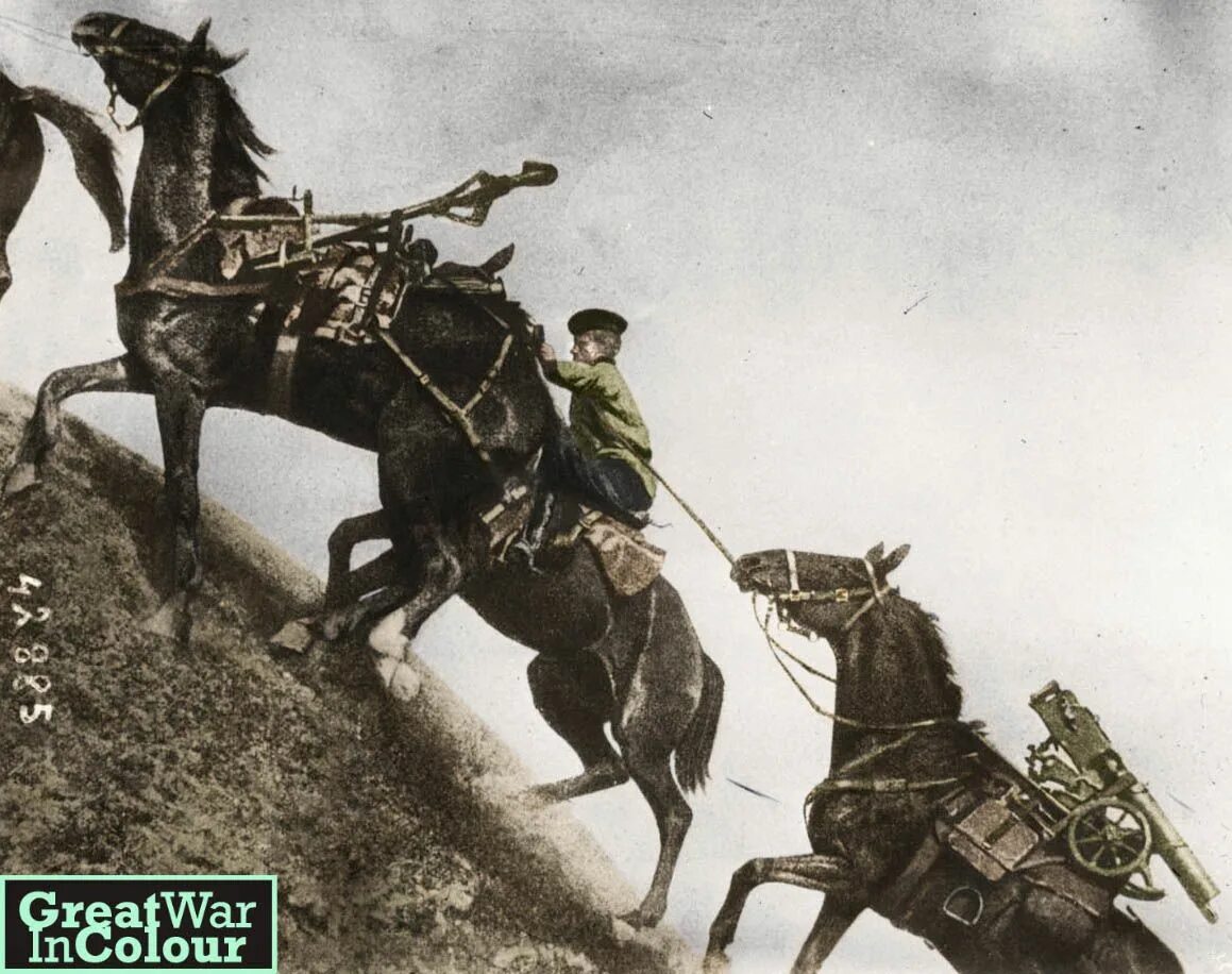 Beersheba битва. Кавалерия макнуть. Кавалерия макнуть. Кавалерия 1917. Кавалеристы кша.