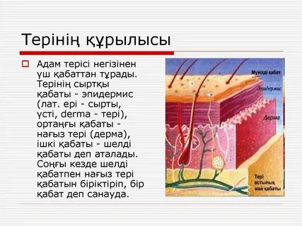 Анасы қызына секс порно видео үйретеді