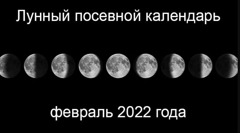 Лунные фазы в 2024 году. Лунный календарь на февраль 2022 года. Лунный календарь на март 2022. Лунный календарь на 2022 год. Лунный календарь на март 2022 года.